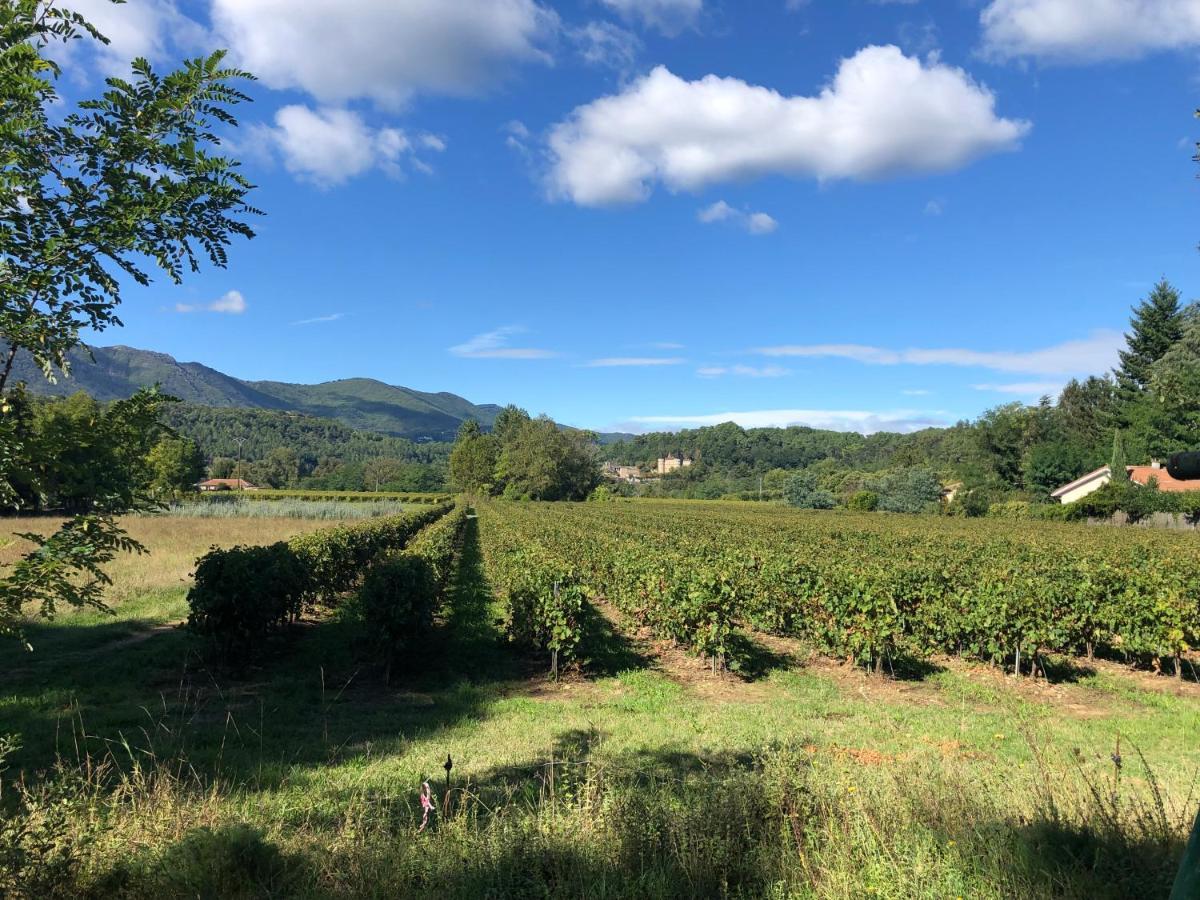 Terres De France - Le Domaine Des Vans Chambonas Luaran gambar