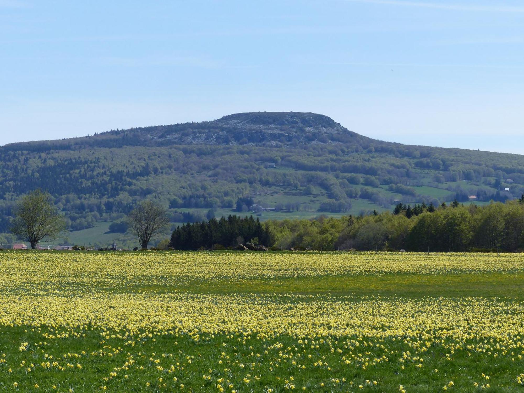 Terres De France - Le Domaine Des Vans Chambonas Luaran gambar