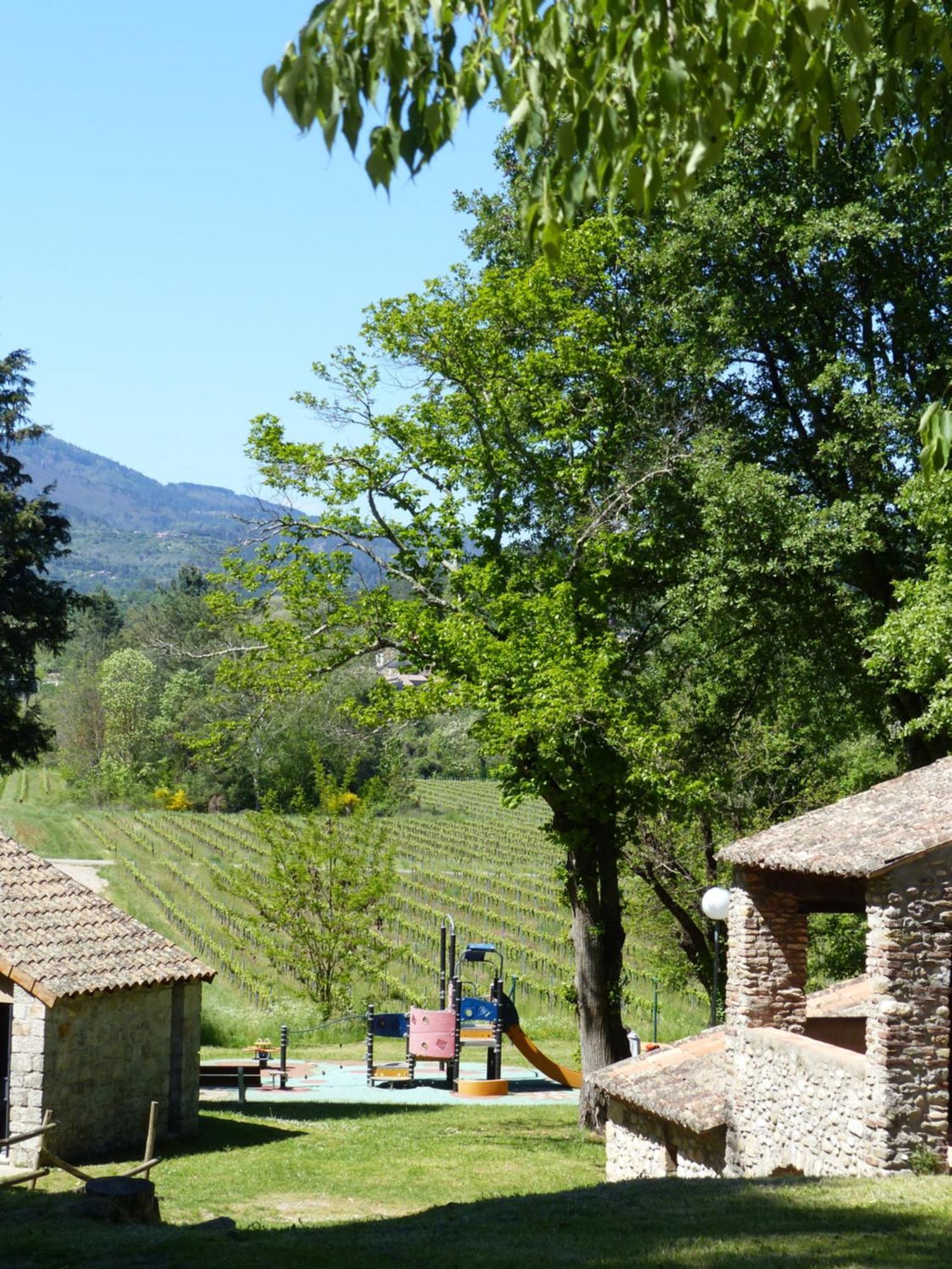 Terres De France - Le Domaine Des Vans Chambonas Luaran gambar